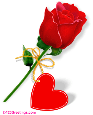 une fleur