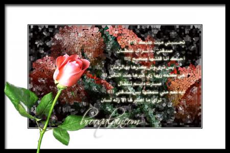 une fleur des fleures